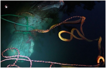 雕塑|又倒一座！美国示威者拆除哥伦布雕像：纵火并扔入湖中