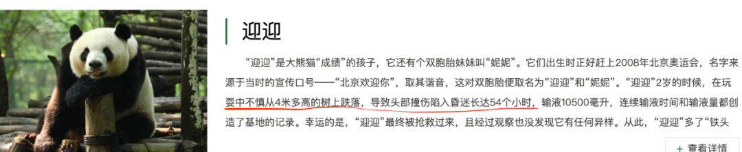 大熊猫|老摔自己是什么感觉?熊猫:谢邀