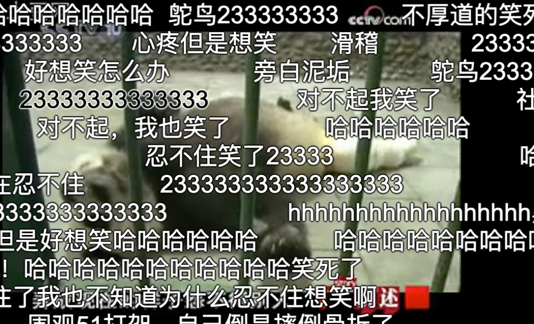 大熊猫|老摔自己是什么感觉?熊猫:谢邀