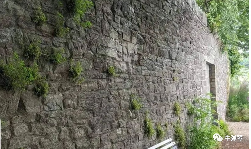 雕塑|我们又见证历史了！