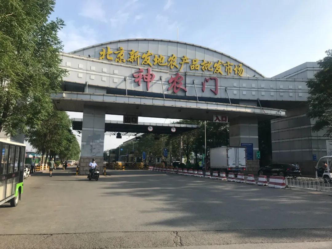 新发地市场引发北京疫情反弹专家三文鱼不可能是病毒载体