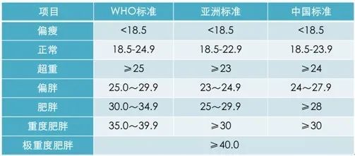 视觉志|200斤女孩被嫌弃的一生。