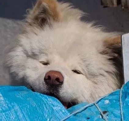 视觉志|“83岁奶奶和13岁女孩的故事。”