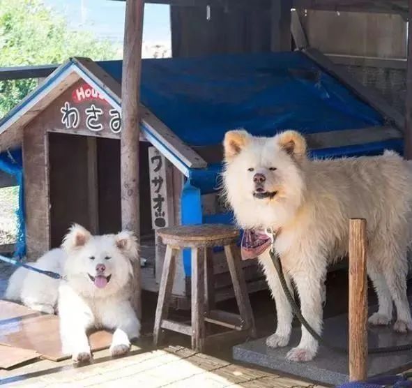 视觉志|“83岁奶奶和13岁女孩的故事。”