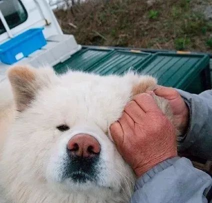 视觉志|“83岁奶奶和13岁女孩的故事。”