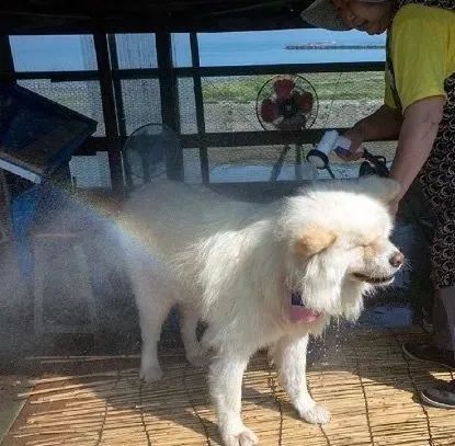 视觉志|“83岁奶奶和13岁女孩的故事。”