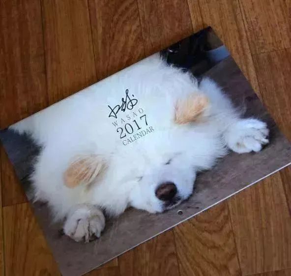 视觉志|“83岁奶奶和13岁女孩的故事。”