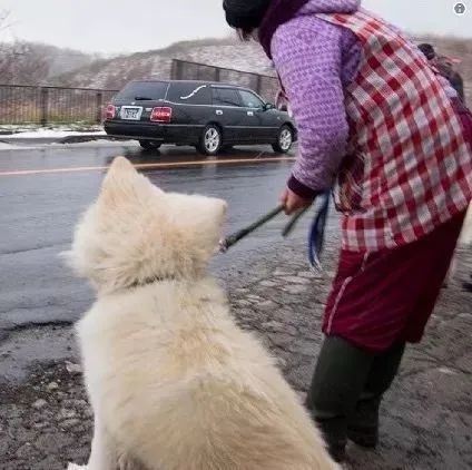 视觉志|“83岁奶奶和13岁女孩的故事。”