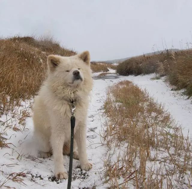 视觉志|“83岁奶奶和13岁女孩的故事。”