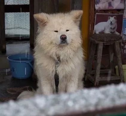 视觉志|“83岁奶奶和13岁女孩的故事。”