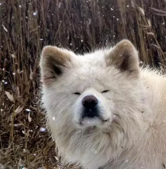 视觉志|“83岁奶奶和13岁女孩的故事。”