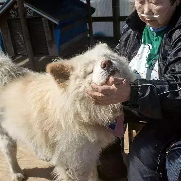 视觉志|“83岁奶奶和13岁女孩的故事。”