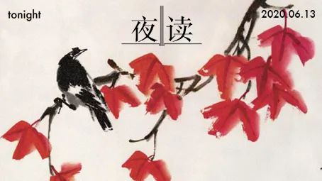 鸡汤|夜读 | 愿你表里如一，余生有梦可依