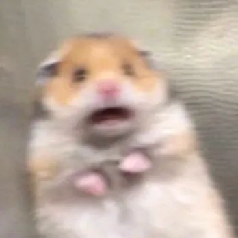 科技|快!再不撤回就来!不!及!了!