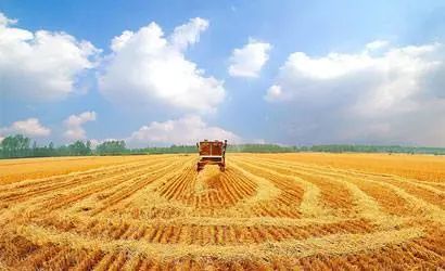 财经|中央财政扶持基层农技推广体系改革与建设