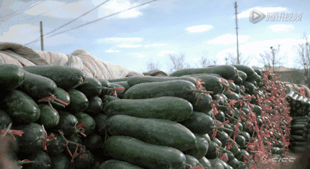蔬菜|北京确诊人数破百，想跟你聊聊「新发地市场」。