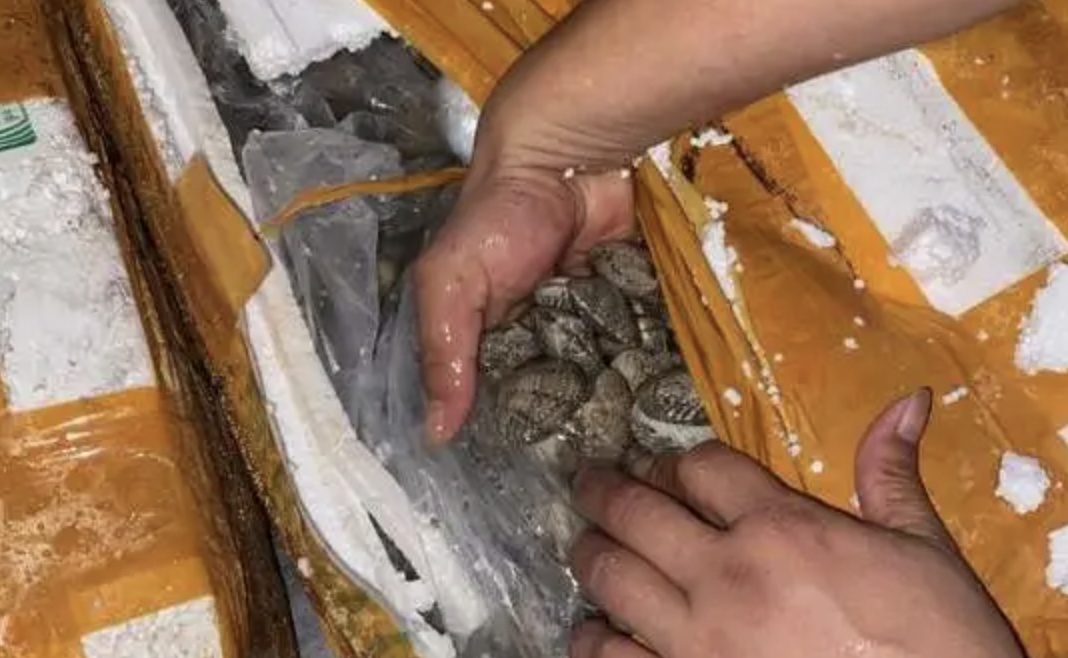 疫情|高校学生停止返校！北京应急响应级提升至二级