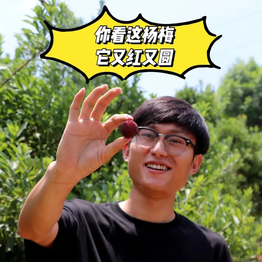 |没错了！这就是夏天的味道！
