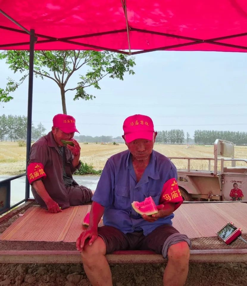 |没错了！这就是夏天的味道！