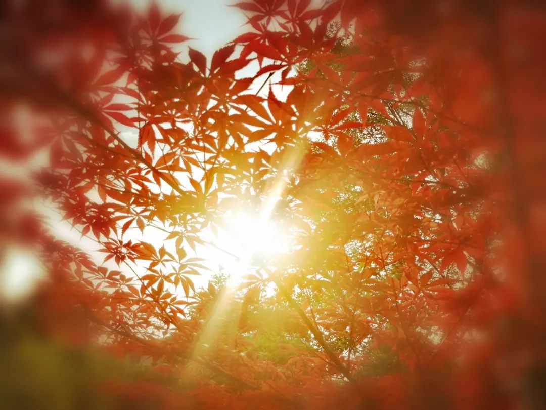 |没错了！这就是夏天的味道！