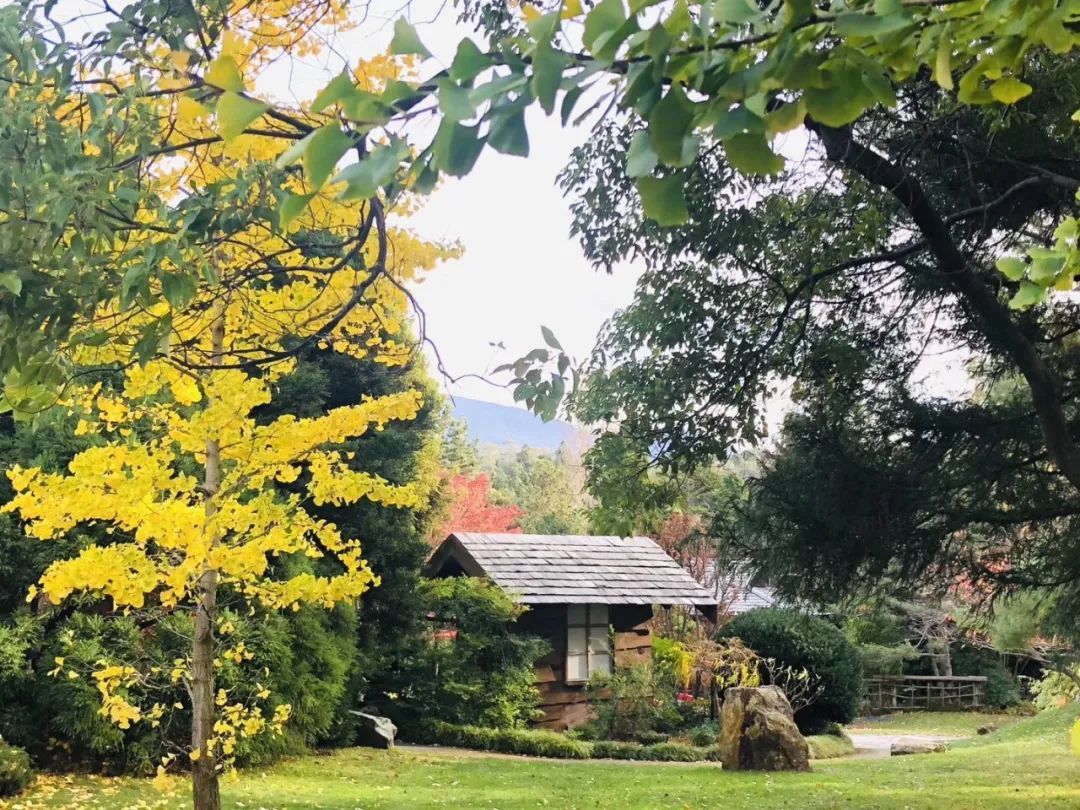 荐读|【荐读】无论多大年龄,你都要明白的10件事!