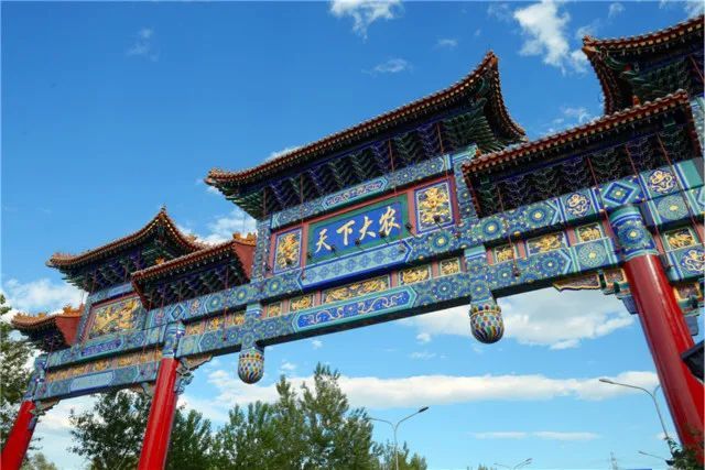 海鲜|京深海鲜“无罪”，三文鱼上架或指日可待
