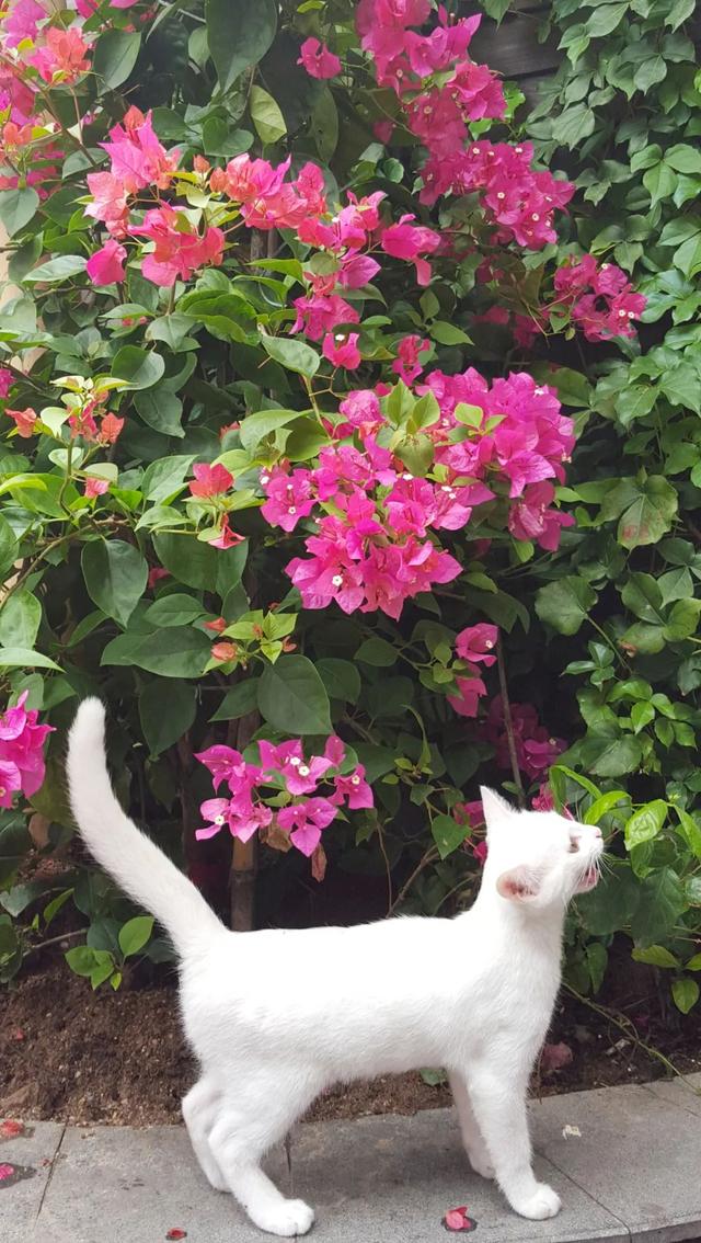 生活|一个人最大的本事，就是靠谱