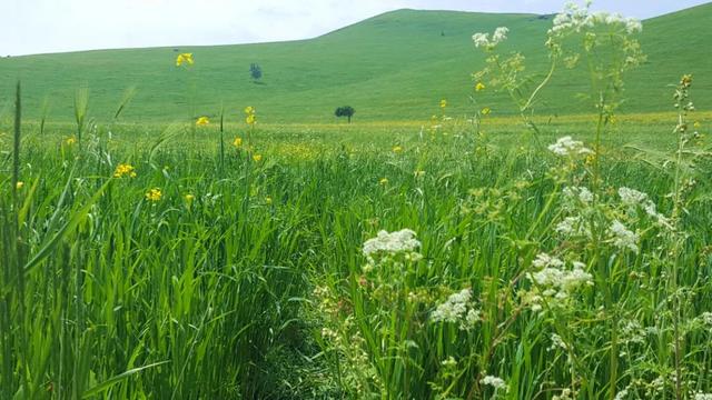 生活|一个人最大的本事，就是靠谱