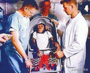 动物|15种为人类触及太空铺平道路的动物