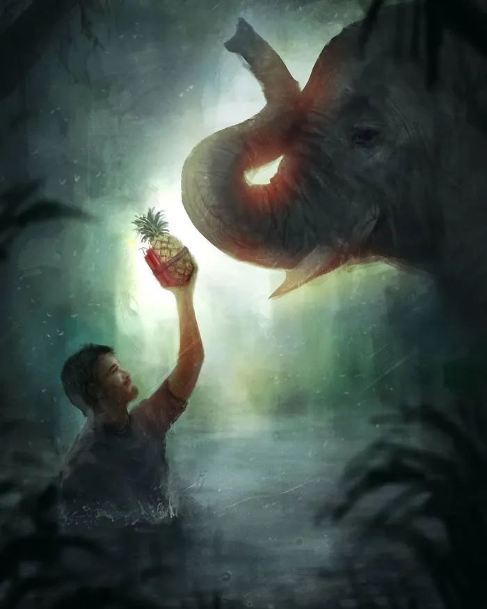 大象|救命！她到死都不知道做错了什么……