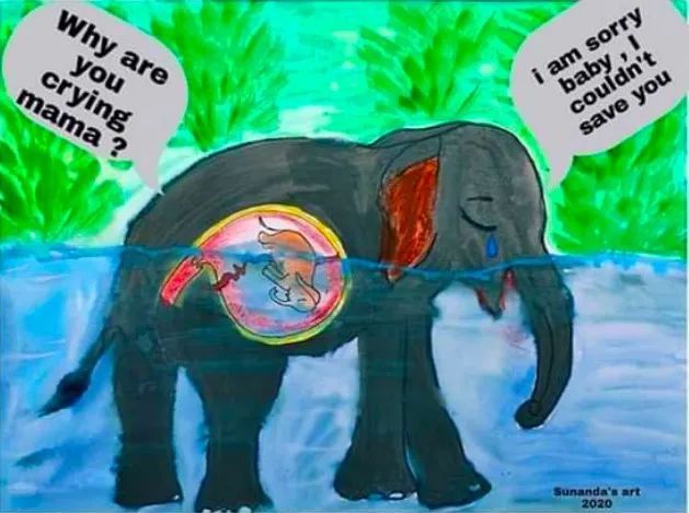 大象|救命！她到死都不知道做错了什么……