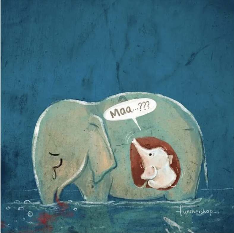 大象|救命！她到死都不知道做错了什么……