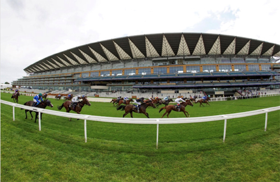 赛马|英国皇家阿斯科特赛马会如期举行