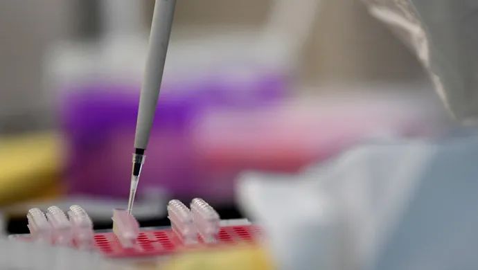 疫情|美国泰森一禽肉屠宰企业发生员工聚集性感染，海关总署暂停其产品输华→