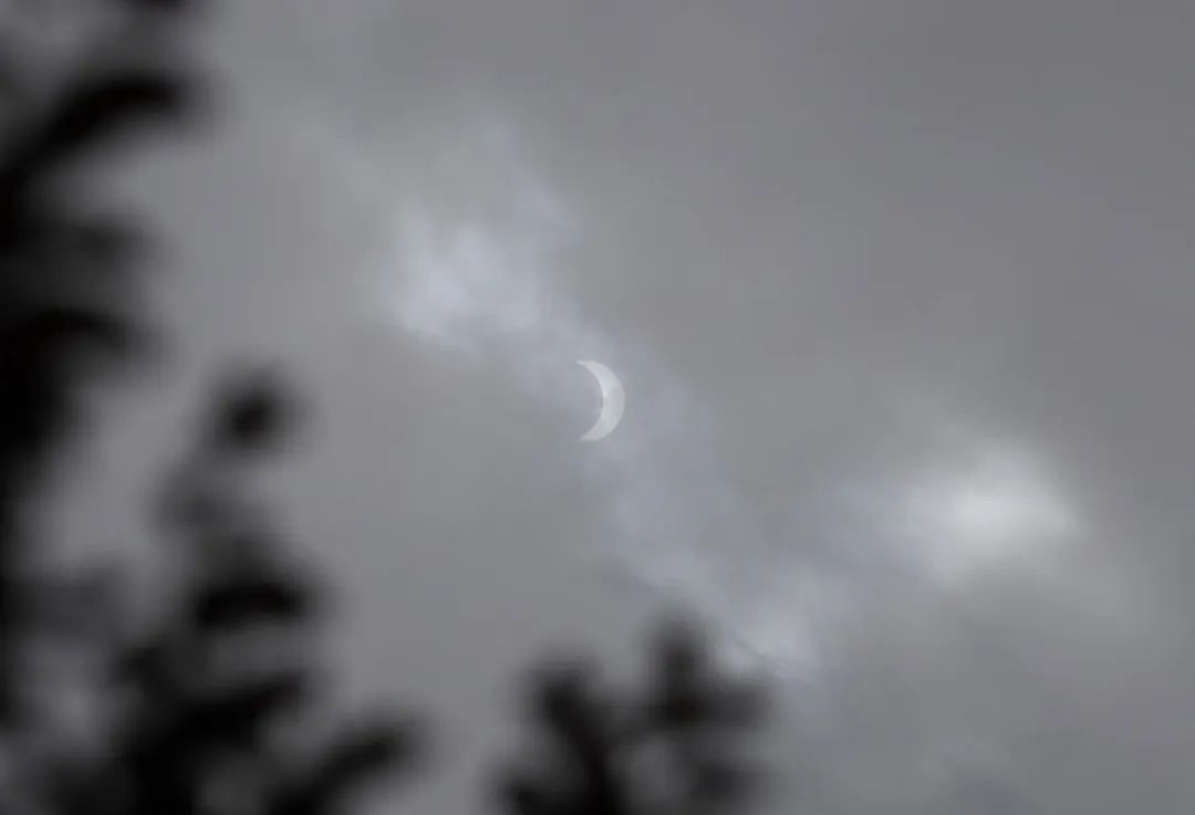 日食|高清大图！金边日食高光时刻