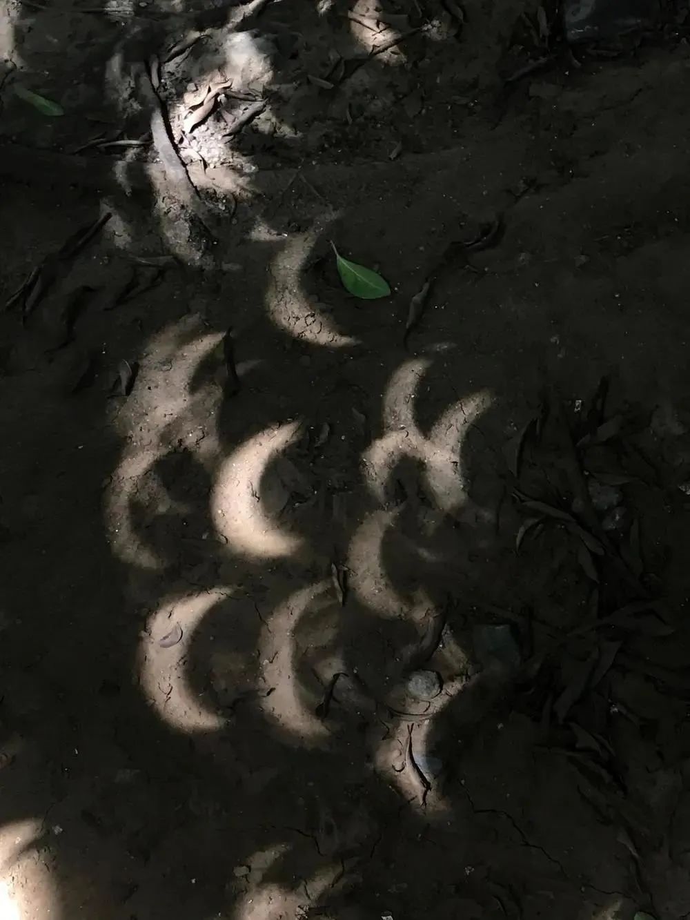 日食|高清大图！金边日食高光时刻