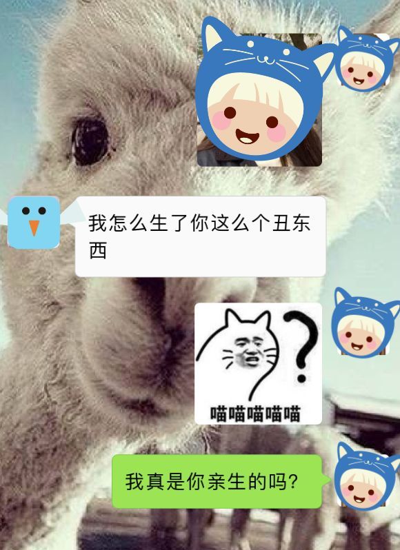 视觉志|爸妈聊天记录曝光，我自闭了