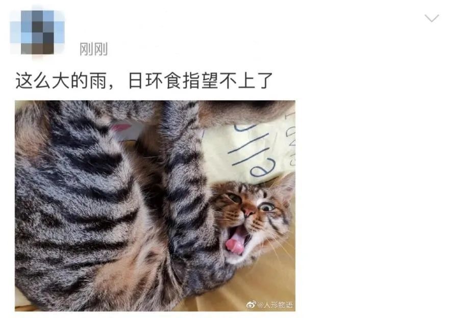 日食|金边日食?我只看到了寂寞