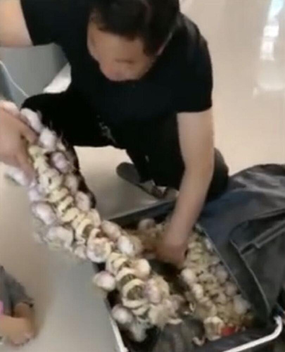 社会|因为这两个字, 他愿倾尽所有……