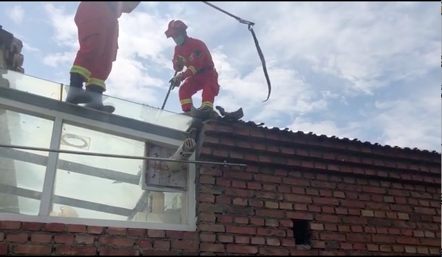 消防员|一米长的“小青”误闯村民家，消防员上房抓蛇