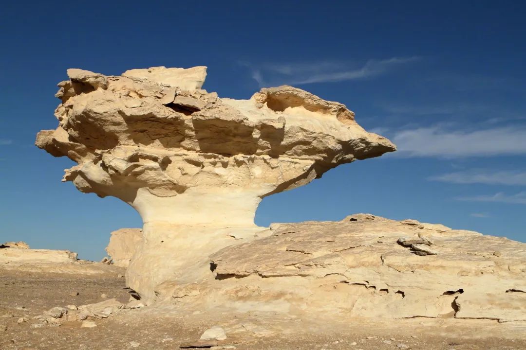 风力在运动状态下也可对地表岩石及其风化产物进行破坏称为风力侵蚀
