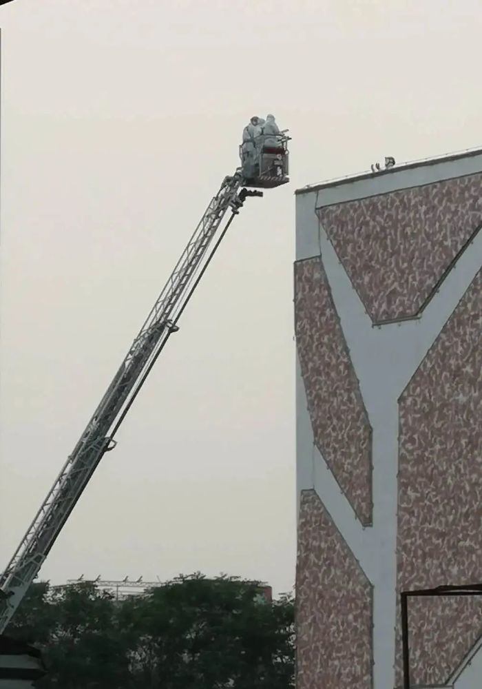 陈超|揭秘北京新发地牛羊肉大厅气体如何消杀
