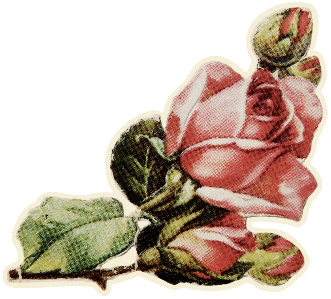 大学|@2020届清华毕业生：愿你苟利国家、俯仰无愧