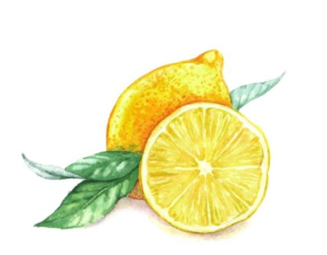 绿豆芽|今日小暑丨陪你跳进热烈的夏天~