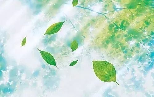 绿豆芽|今日小暑丨陪你跳进热烈的夏天~