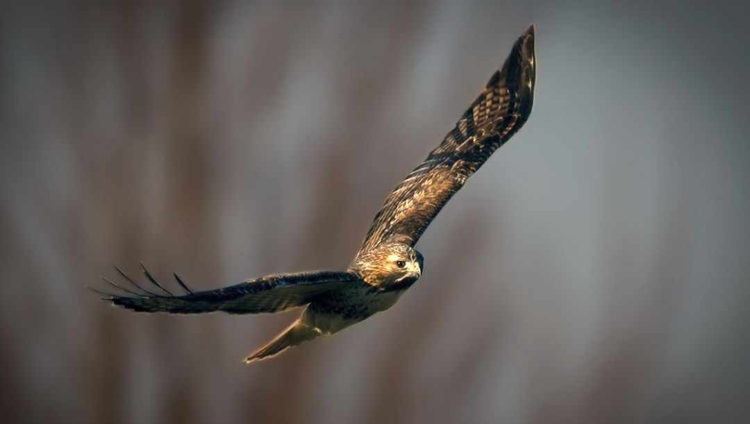 绿豆芽|今日小暑丨陪你跳进热烈的夏天~