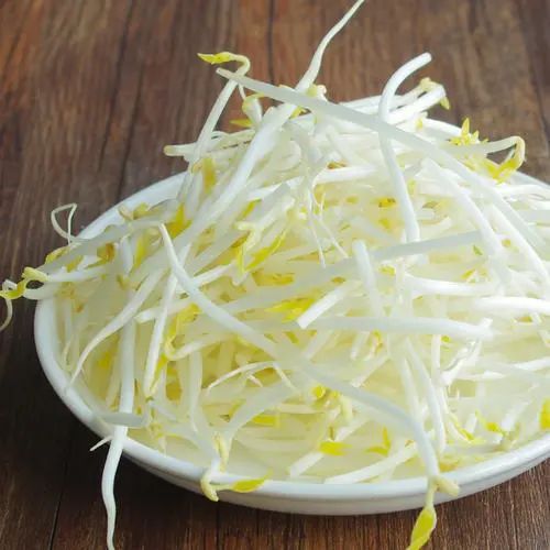 绿豆芽|今日小暑丨陪你跳进热烈的夏天~