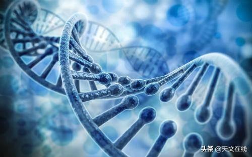 天文|新论文启示录：宇宙中生命常见，但却相距甚远