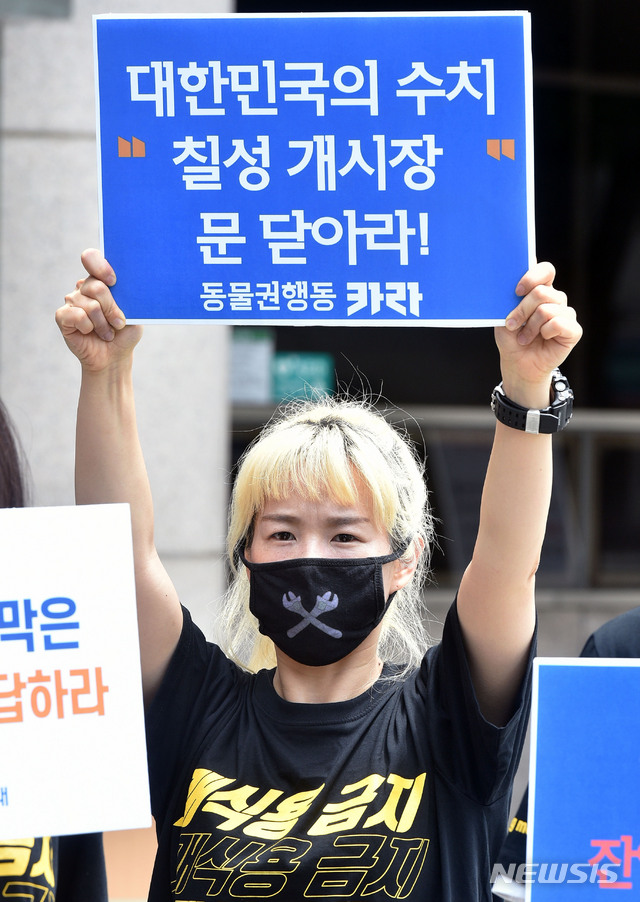 国际|韩国最后一条＂狗肉街＂迎来旺季 动保人士愤怒抗议：关了！