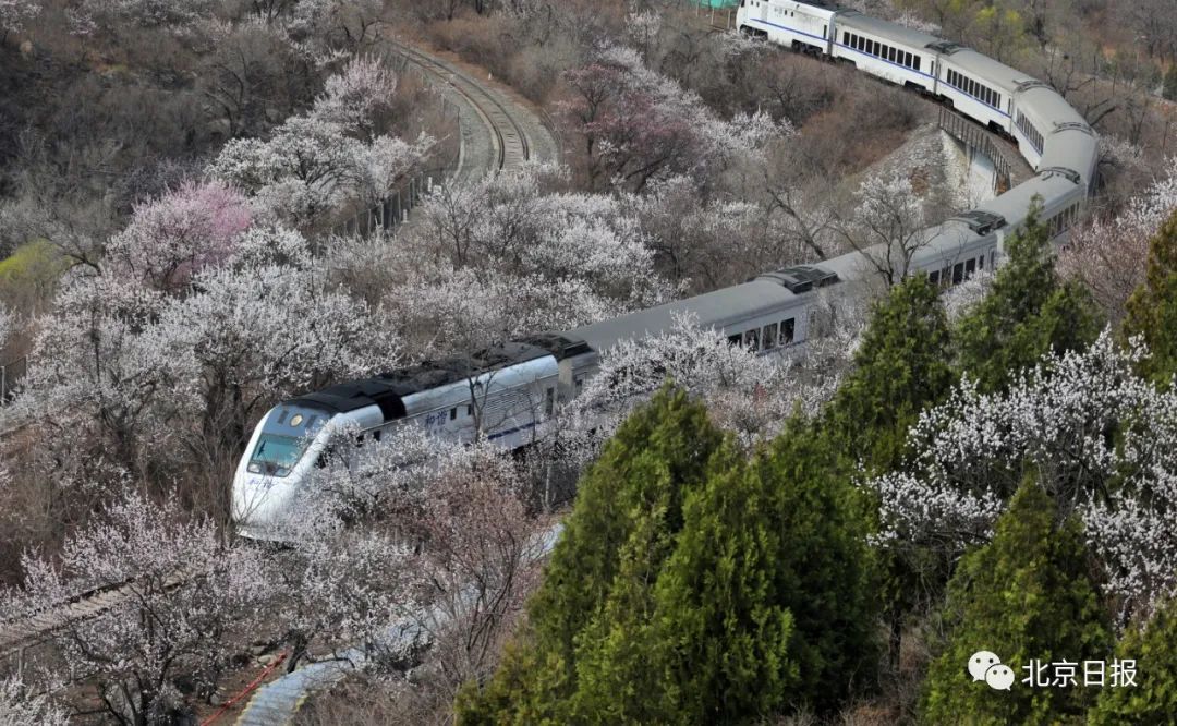 城市中国|人民阅卷！北京上榜“中国十大美好生活城市”